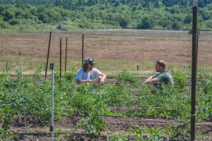 Building community through conversation and purpose is one goal for veterans at GRuB.