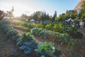 The Victory Farm at GRuB