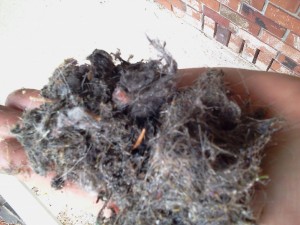 DKB Restoration is prepared for any situation - muddy boots, damp pets, and woodsmoke are all things easily cleaned by the team.