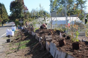 eastside urban farm