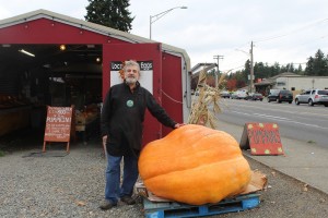 giant pumpkin