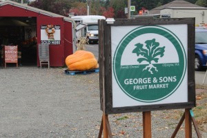 giant pumpkin