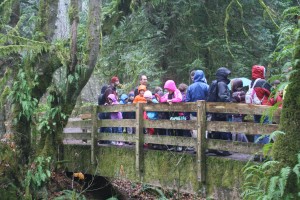 kennedy creek salmon trail