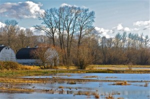 nisqually wildlife refuge