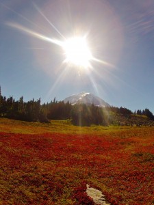 mount rainier