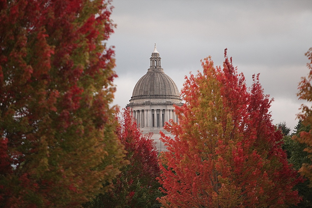 Great Washington ShakeOut ThurstonTalk