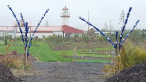 Westport Winery changes (1)