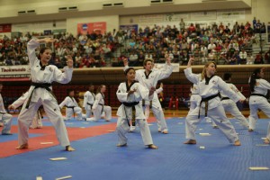 taekwondo competition