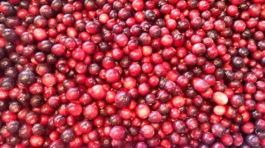 bloom creek cranberry