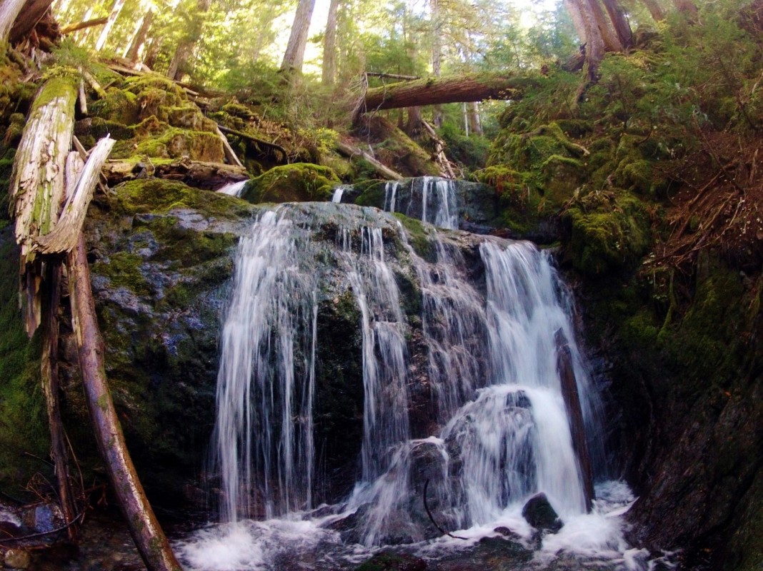 hood canal waterfalls