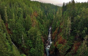 hood canal waterfalls