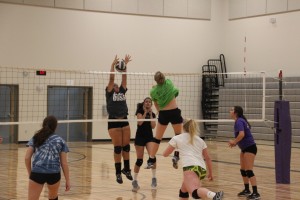 north thurston volleyball