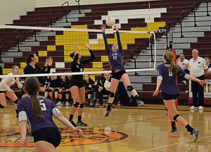 north thurston volleyball