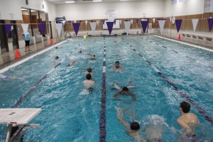 north thurston swimming