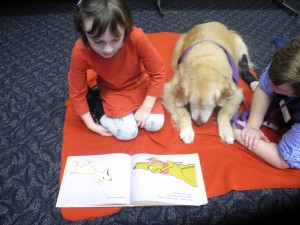 reading dog library