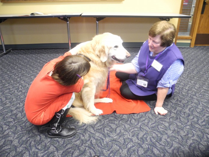 dog reading library