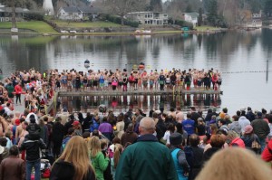 polar bear plunge