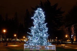 christmas tree recycling