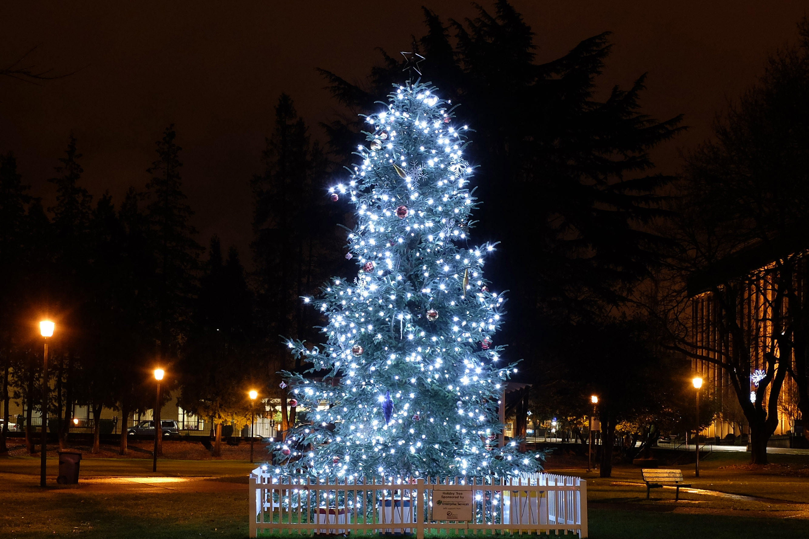 Olympia Downtown Association Invites You Downtown for the Holidays