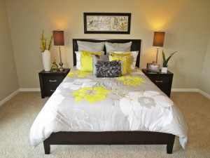 home staging olympia