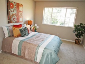 home staging olympia