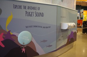 The WET Science Center is run by LOTT Clean Water Alliance and offers a free, fun place for kids and families to learn about keeping Puget Sound clean.