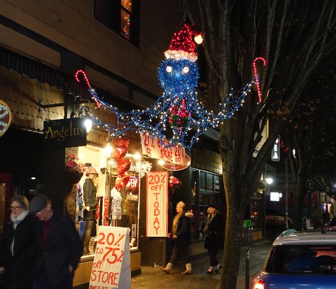 Lily's What to Where twinkliest twinkle fest