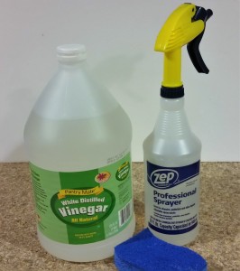 Simple white vinegar is one of the best, and least toxic, ways to eliminate mold.