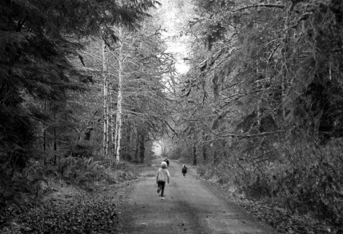 hood canal cabin
