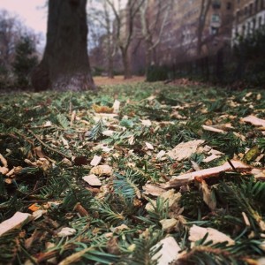 christmas tree recycling