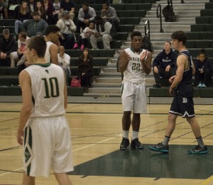 timberline basketball