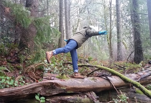 hiking trails olympia
