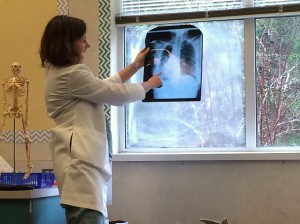 Providence physician Dr. Meghan Duffie explains to the BHES first graders how lungs work and why Cooper's mom, Keri, needs a new set to get healthy again.