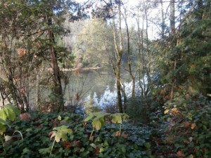 Urban adventures await at centrally located Priest Point Park where walkers can choose from beach or forest destinations.