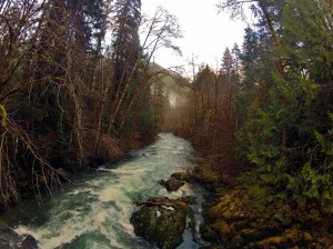 whitewater kayak hood canal