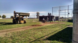 capitol little league