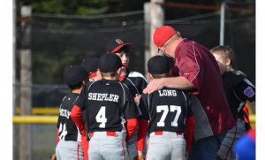 capitol little league