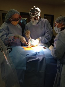oly ortho spine surgery