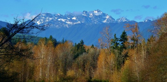 dosewallips state park