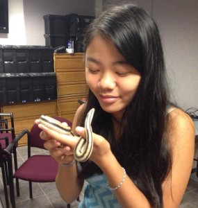 High schooler Cora Sharpe specializes in fostering reptiles for Joint Animal Services and has the expertise, and equipment, to ensure they are healthy and happy until adopted.