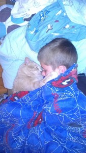 My younger brother Tristan bonded with the cats we fostered as a family.