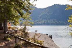 skokomish hood canal