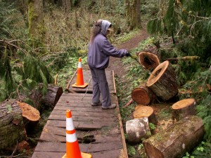 washington state parks volunteer