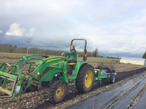 Drew Scheindler uses a manure spreader to amend a dormant row of balsamroot, the Taylor’s checkerspot butterfly’s favorite nectar plant. Photo credit: Jessika Blackport 