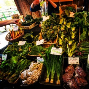 csa box