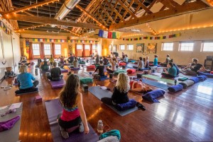 yoga loft