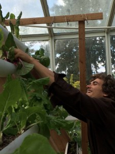 aquaponics in prison