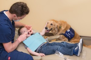 therapy dog dentist