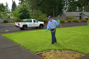 lawn treatment olympia