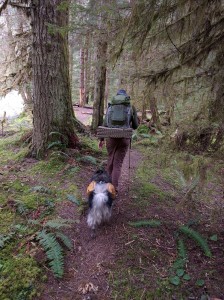 backpacking dog